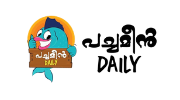 best Web Design Agency in kochi